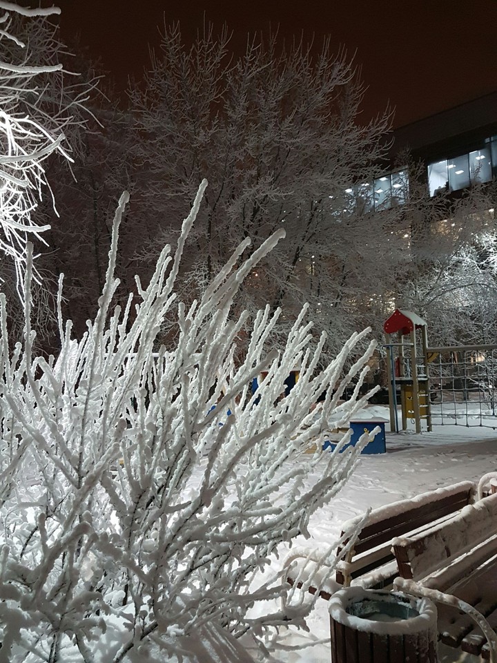 snow