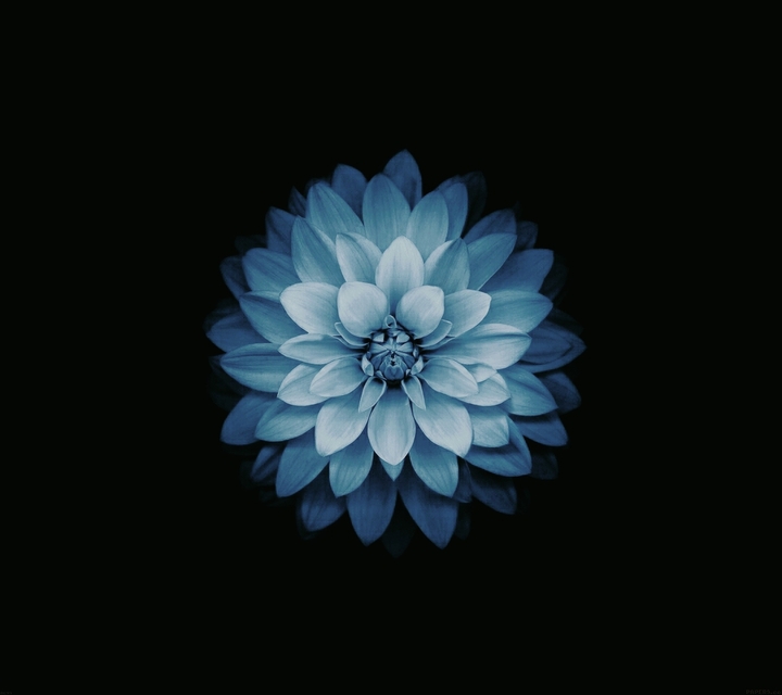 un