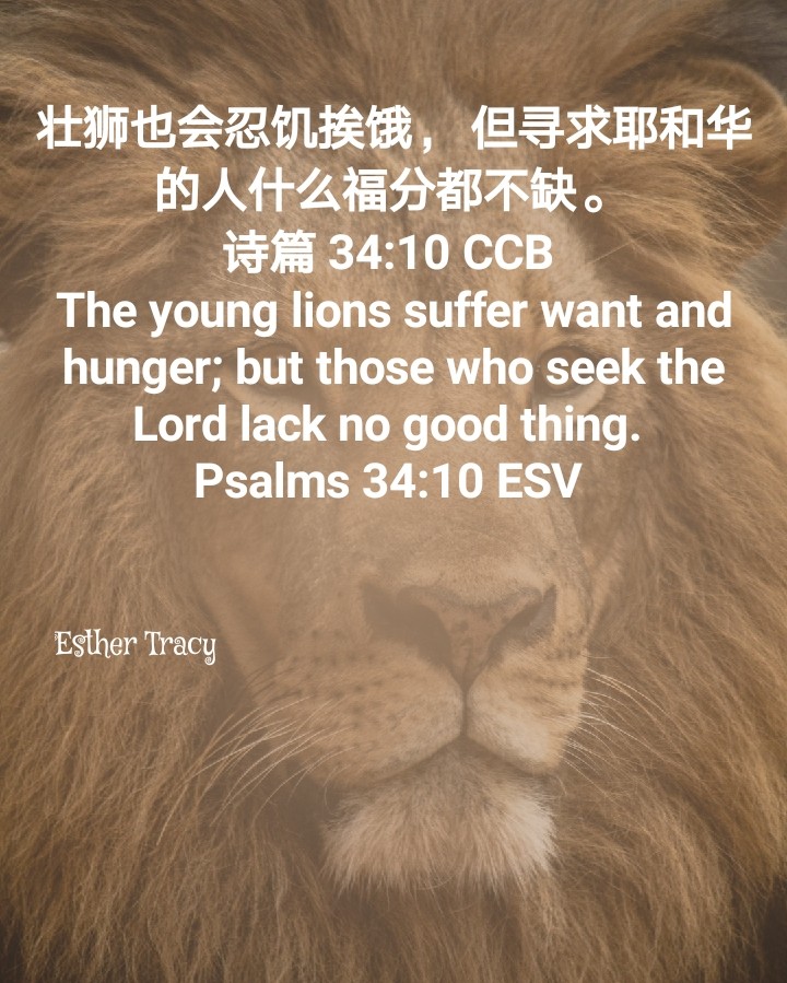 seek the Lord lack no good thing