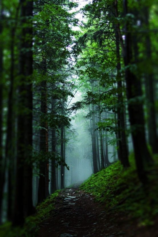 natural scenery