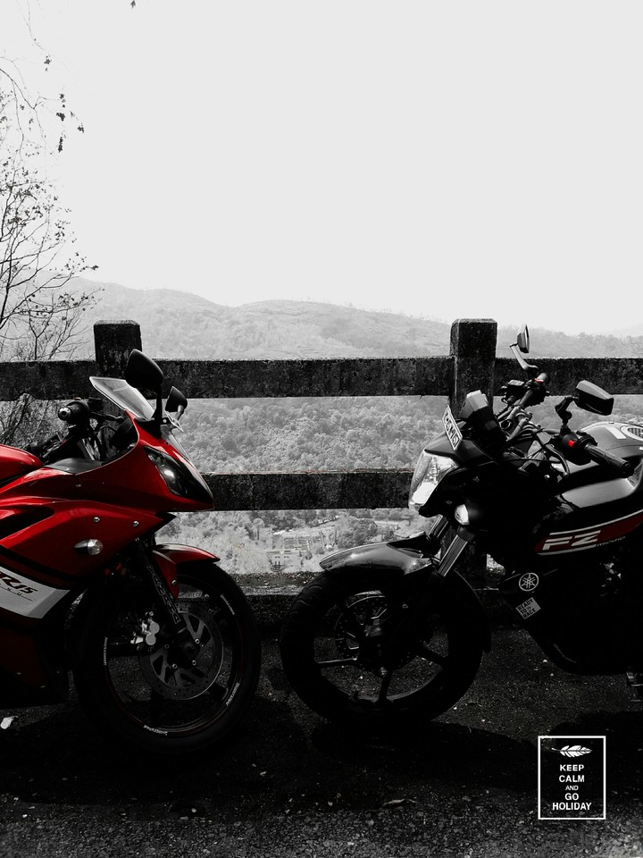 R15 vs Fz