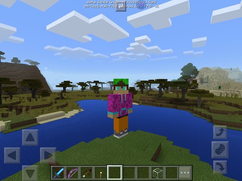 I Mine Craft✌