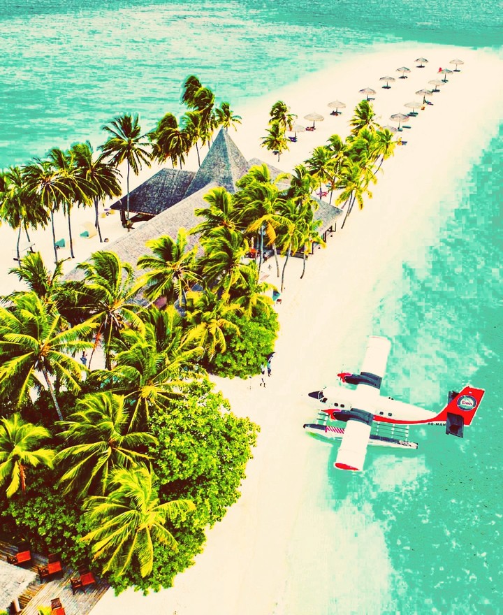 Maldives Life