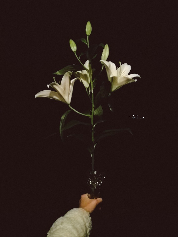 flower
