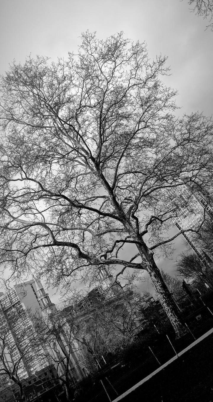 Branching out