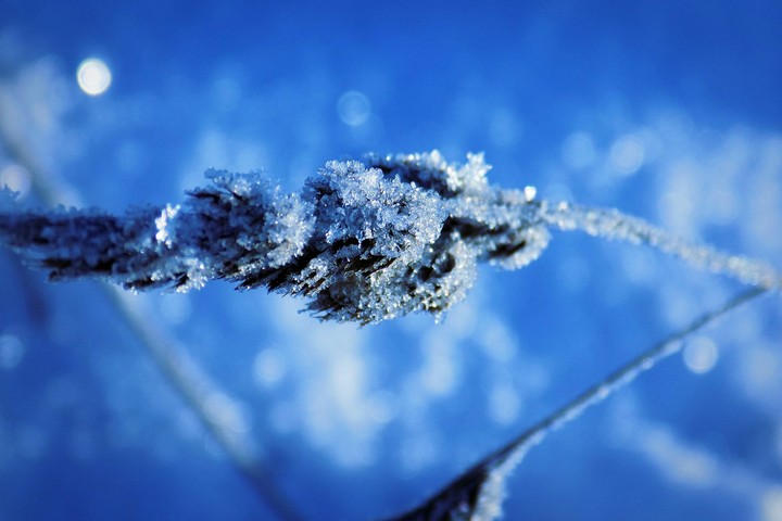 frozen