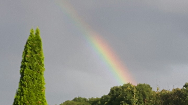 Regenbogen