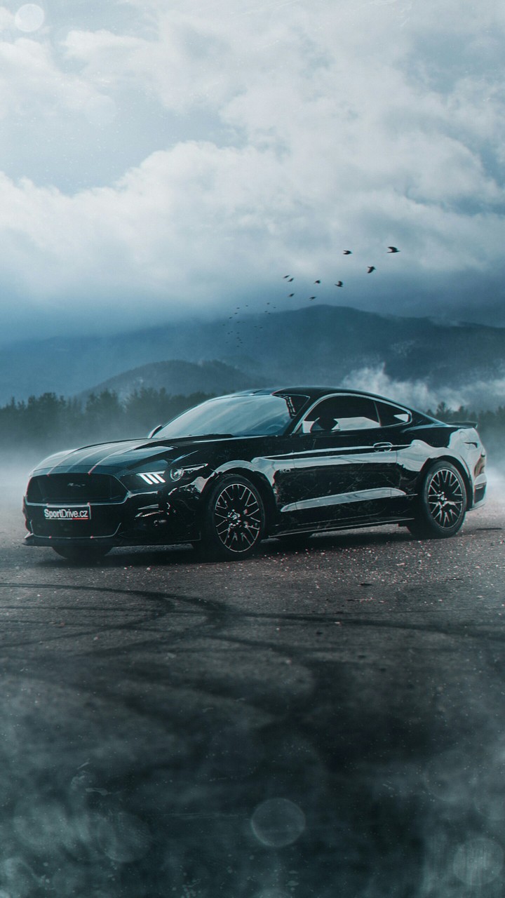 Car#