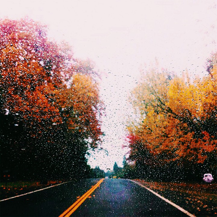 autumn