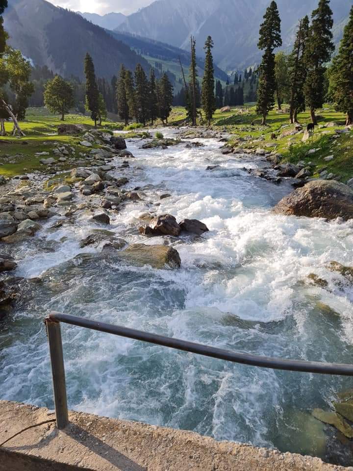 srinagar