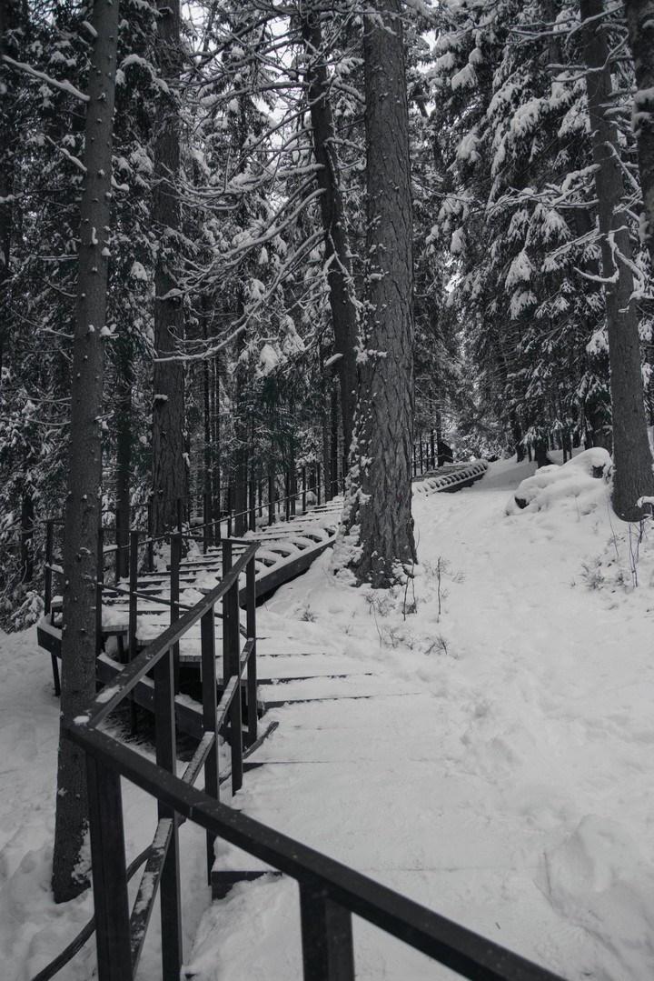 Lindulovskaya Grove