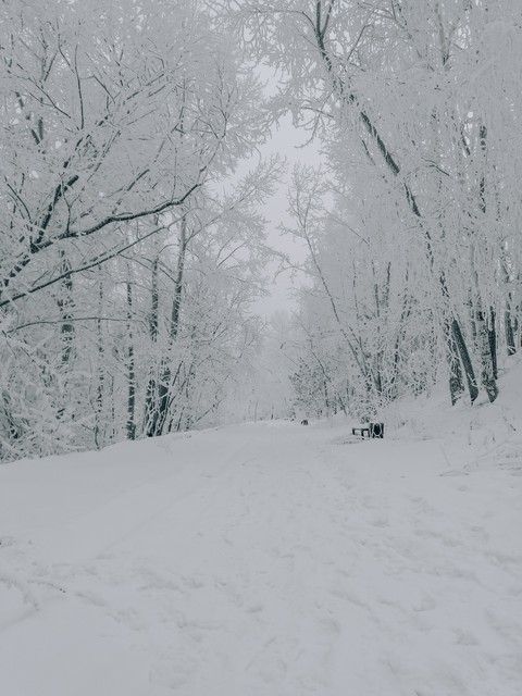 Snow Siberia