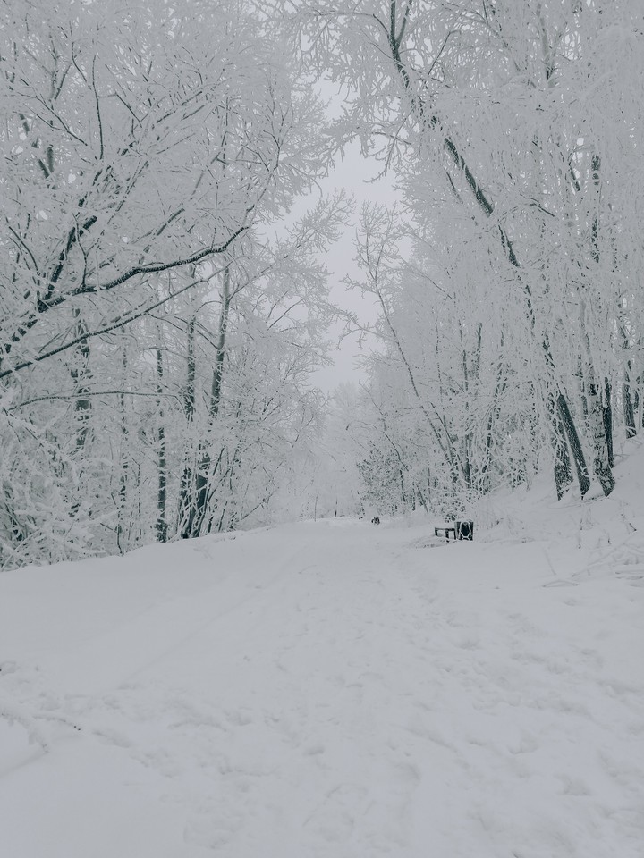 Snow Siberia