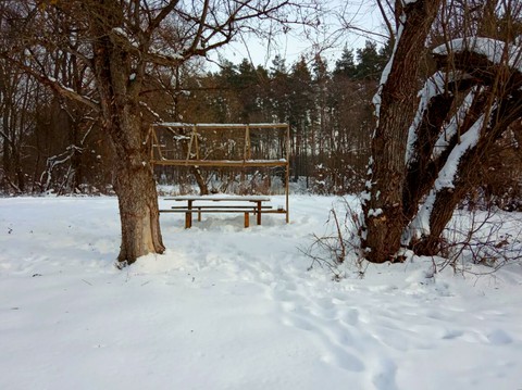Пейзаж