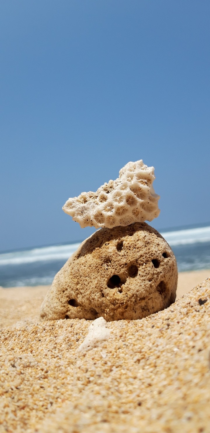 Sandrock