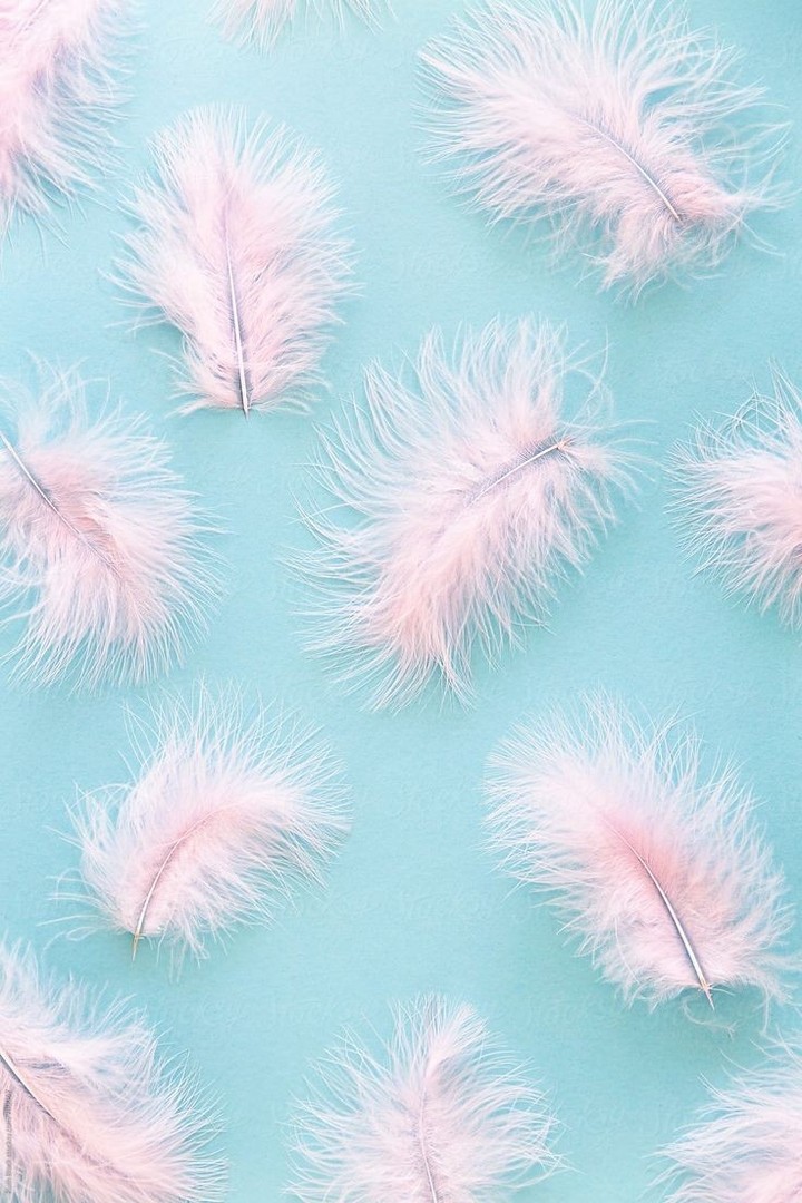 feathers.