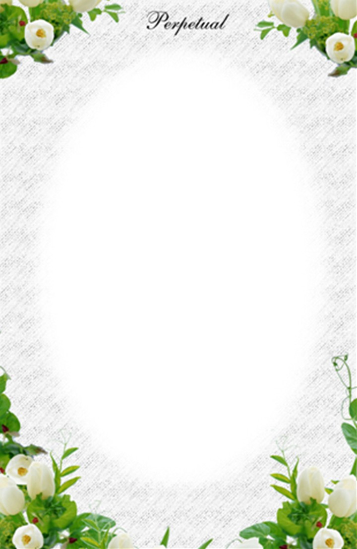 레이어시리즈