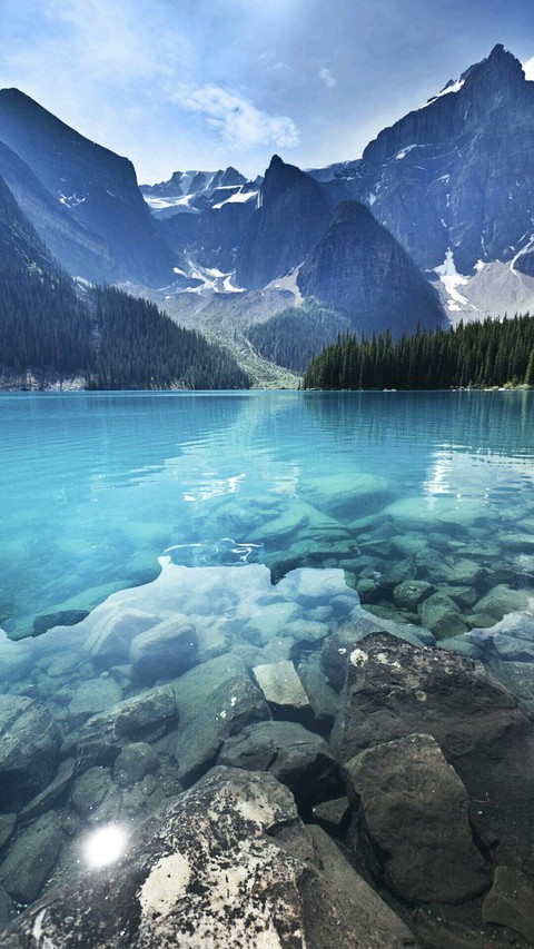 Wonderful wild.
