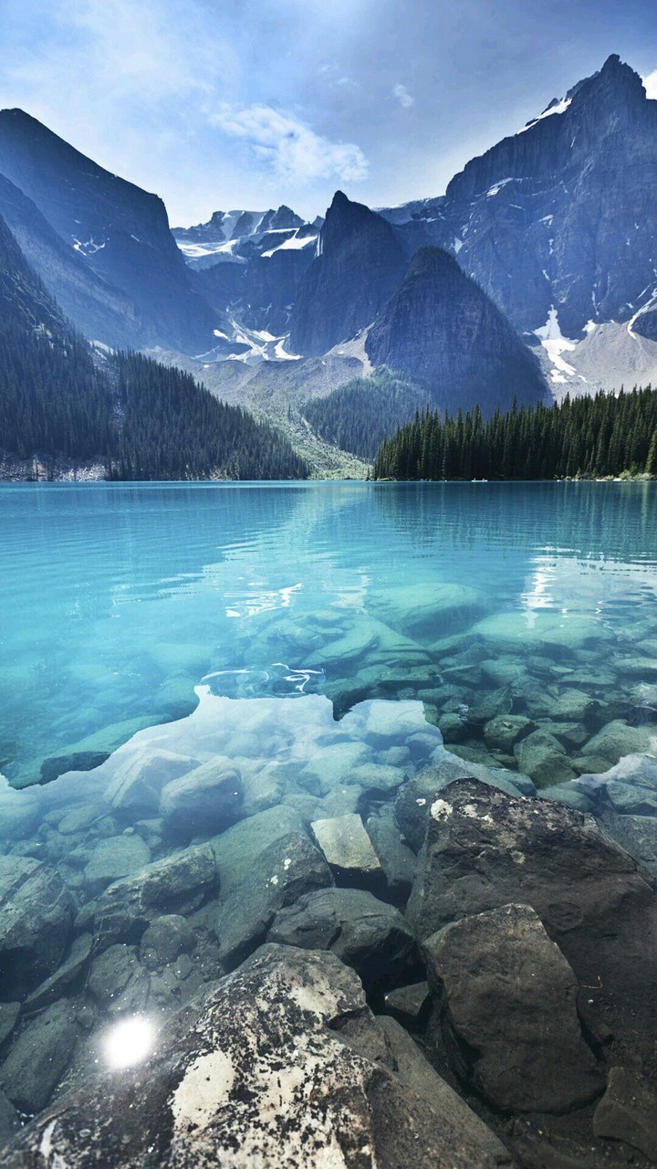 Wonderful wild.