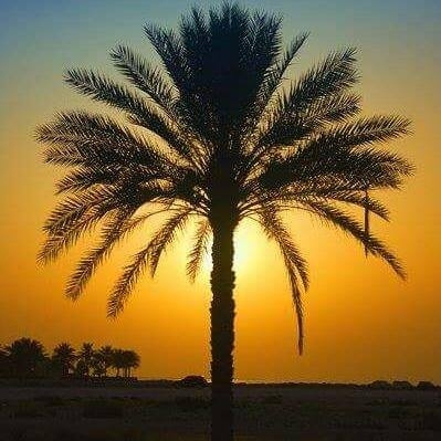 Nakhla