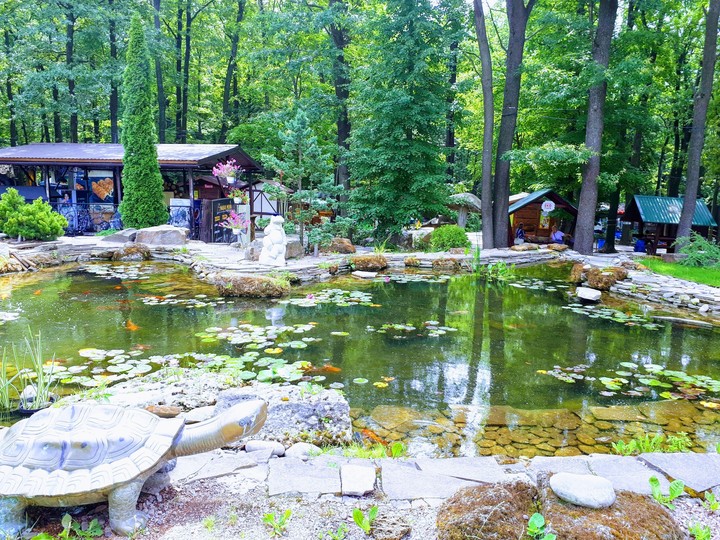 summer garden
