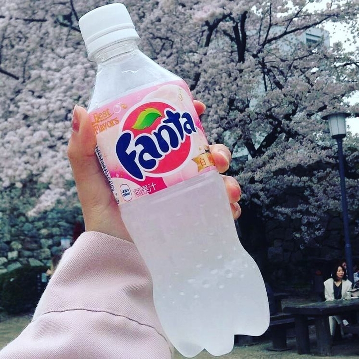 сохра