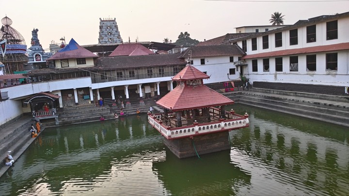 udipi Matt