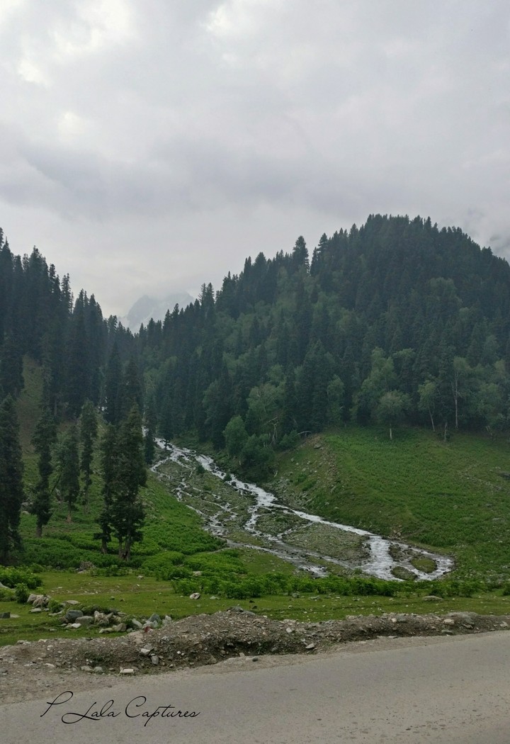 Beautiful Nature
