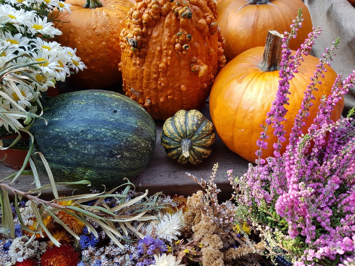 autumn