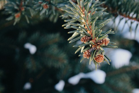 Winter ❄❄