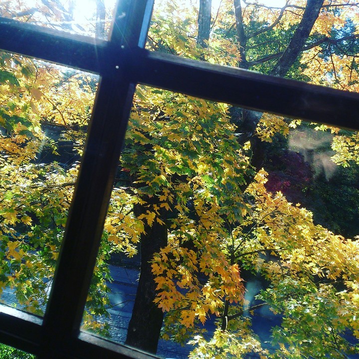Autumn