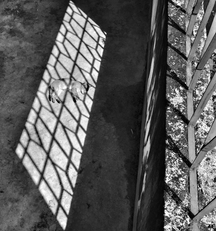 light & shadow