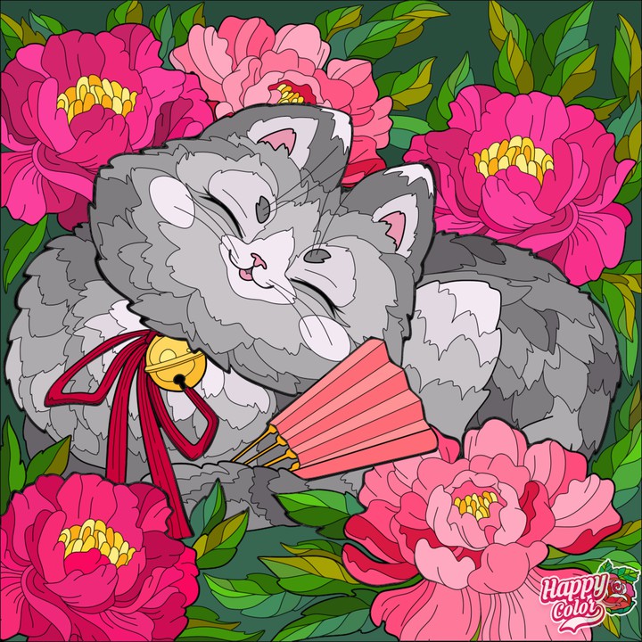 кот