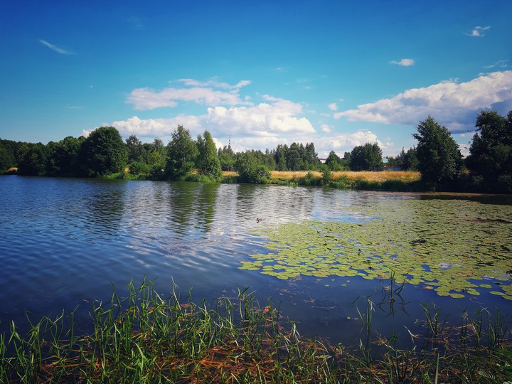 nature