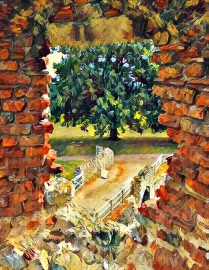 Window