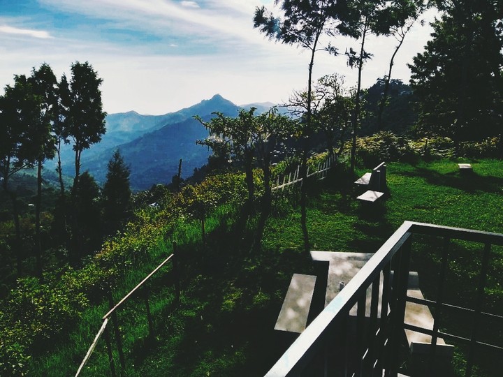 Serene view out the window