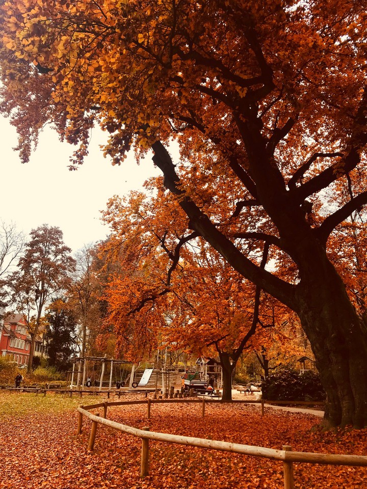 autumn