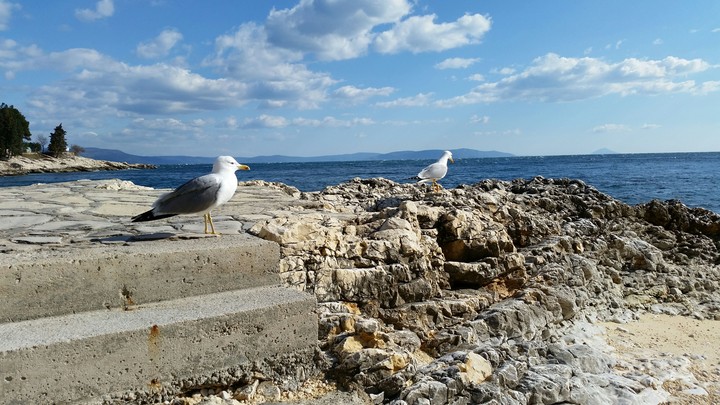 Adriatic sea