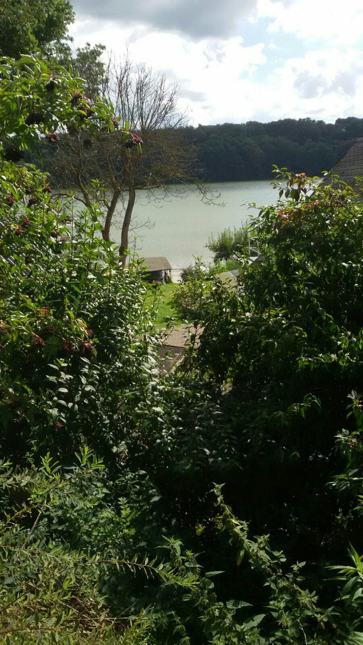#nature#green#lake