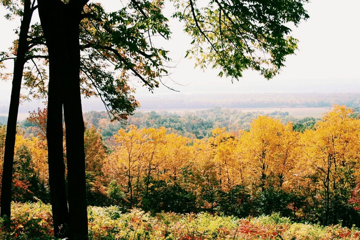 Autumns