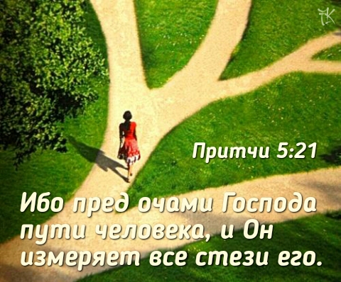 proverbs