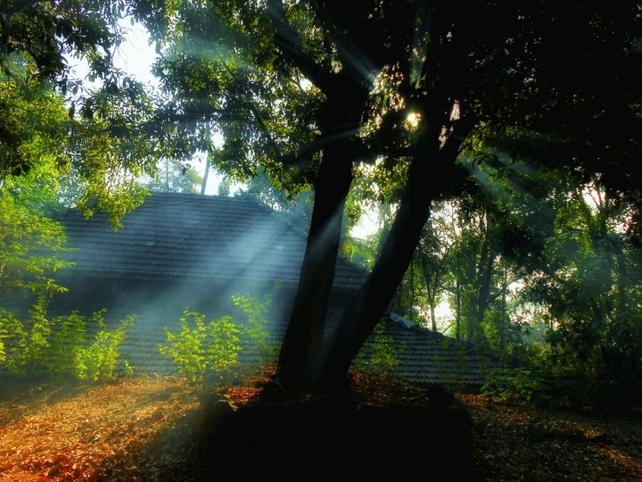 shadowed ...!