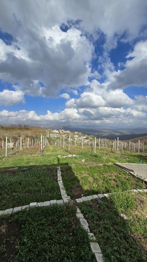 fonds d'écran cloud, steppe