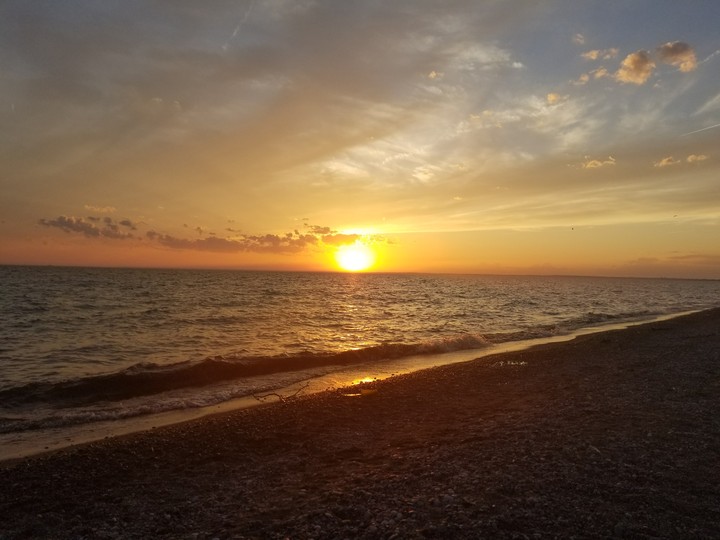 Point Pelee, ON