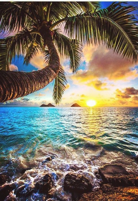 Chillń in Hawaii