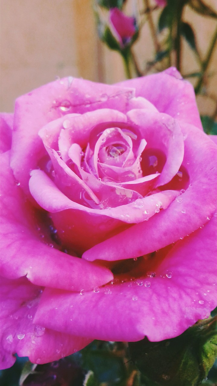 After rain