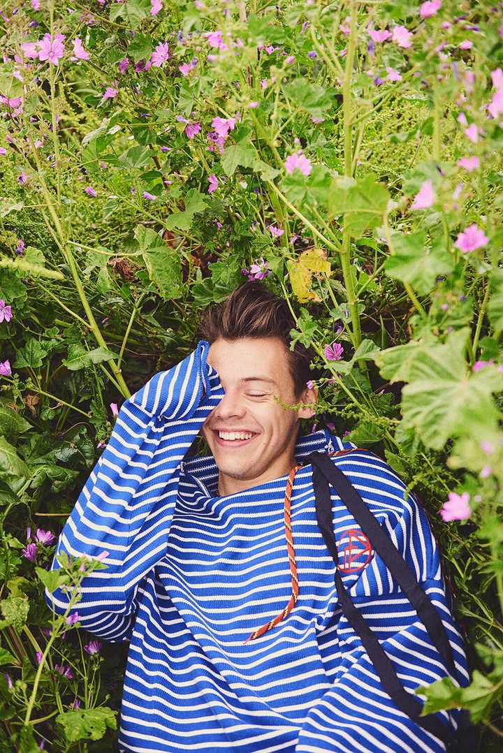 Harry...
