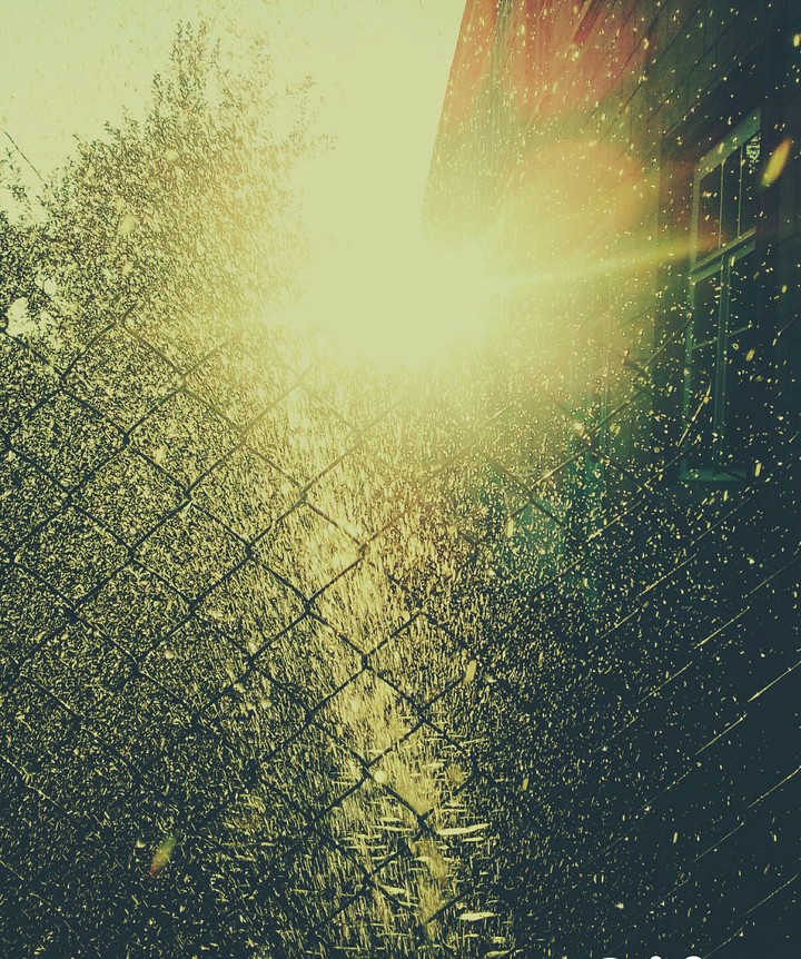 sunshine and water ❤