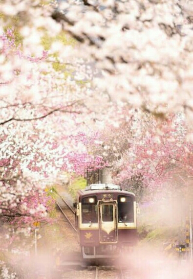 Beautiful view