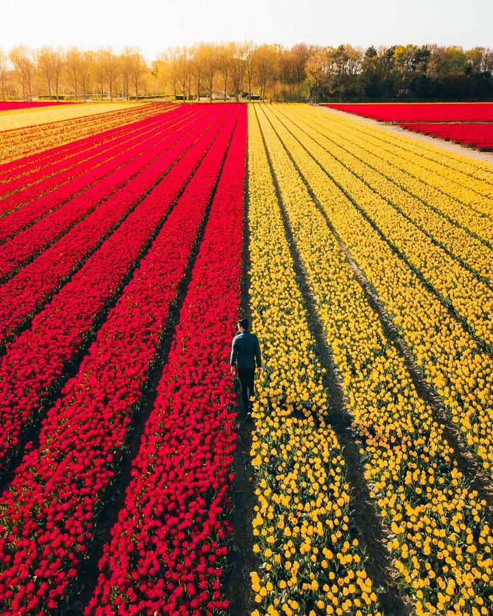❤